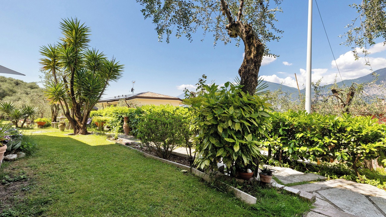 Photo of Outdoor in Assenza