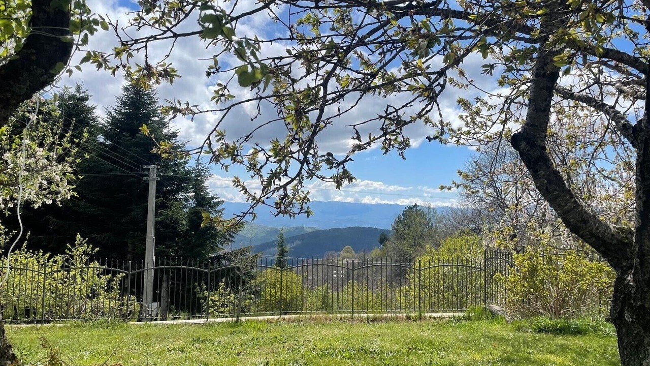Photo of Outdoor in Rose