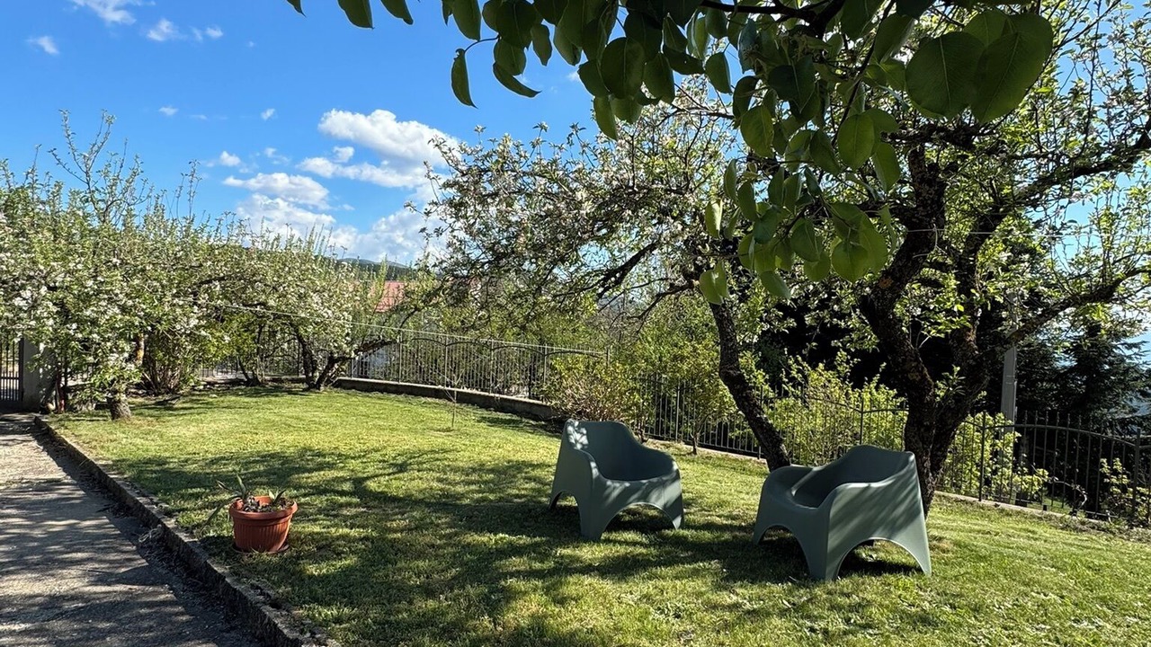 Photo of Outdoor in Rose