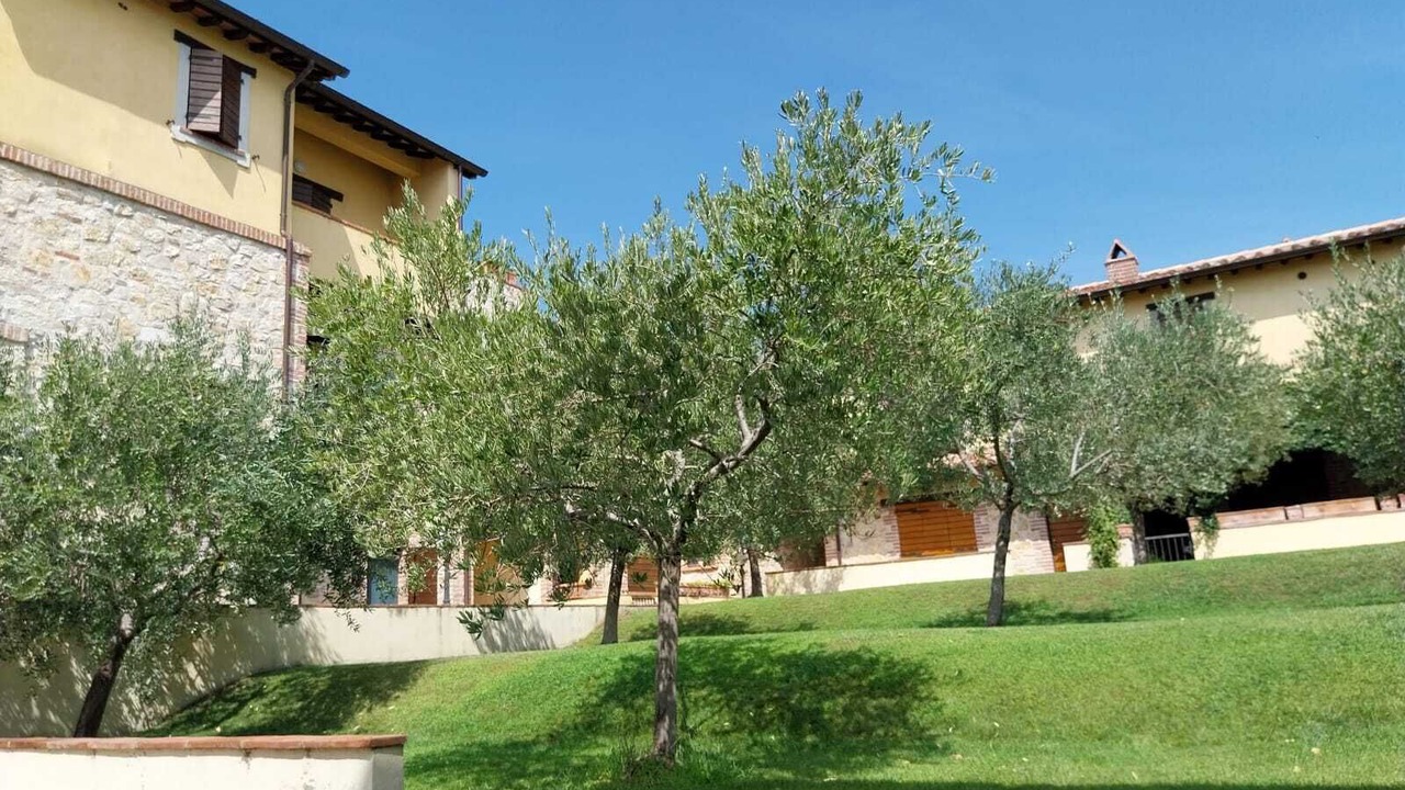 Photo of Outdoor in Collazzone