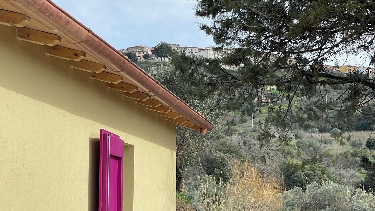 Photo of Outdoor in Monterotondo Marittimo