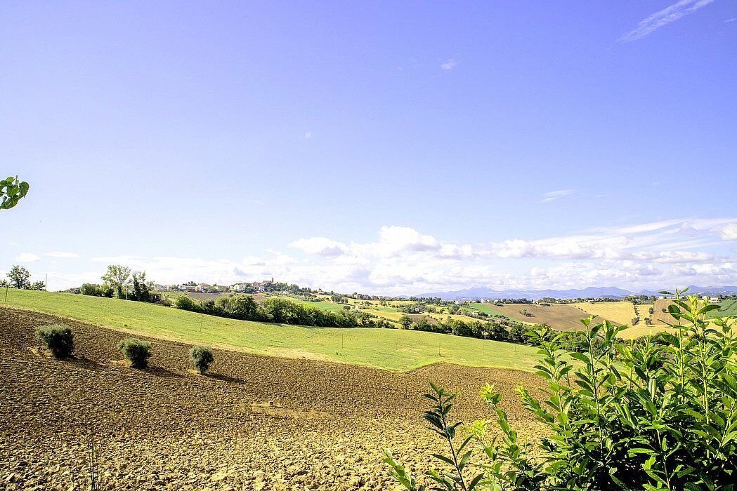 Photo of Others in Bettolelle