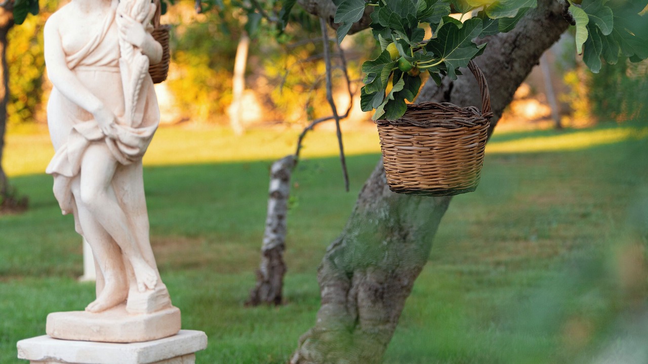 Photo of Outdoor in Francavilla Fontana