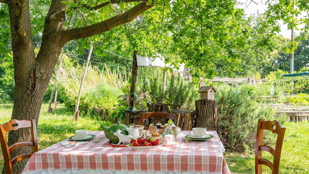 Photo of Outdoor in Cortiglione