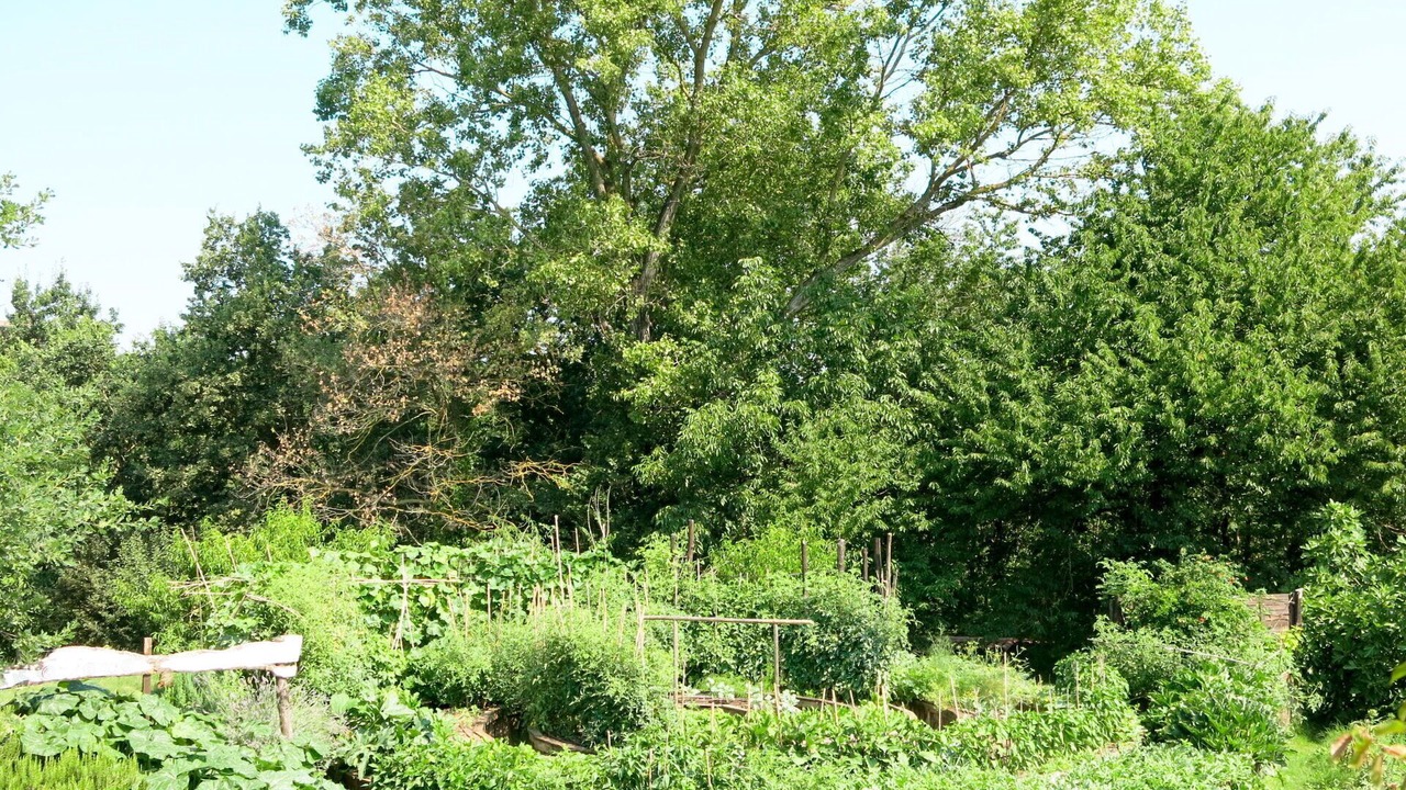 Photo of Outdoor in Cortiglione