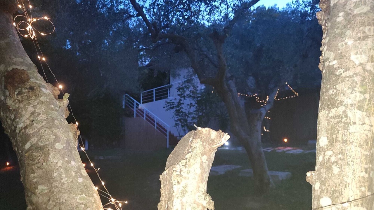 Photo of Outdoor in Palombina Nuova