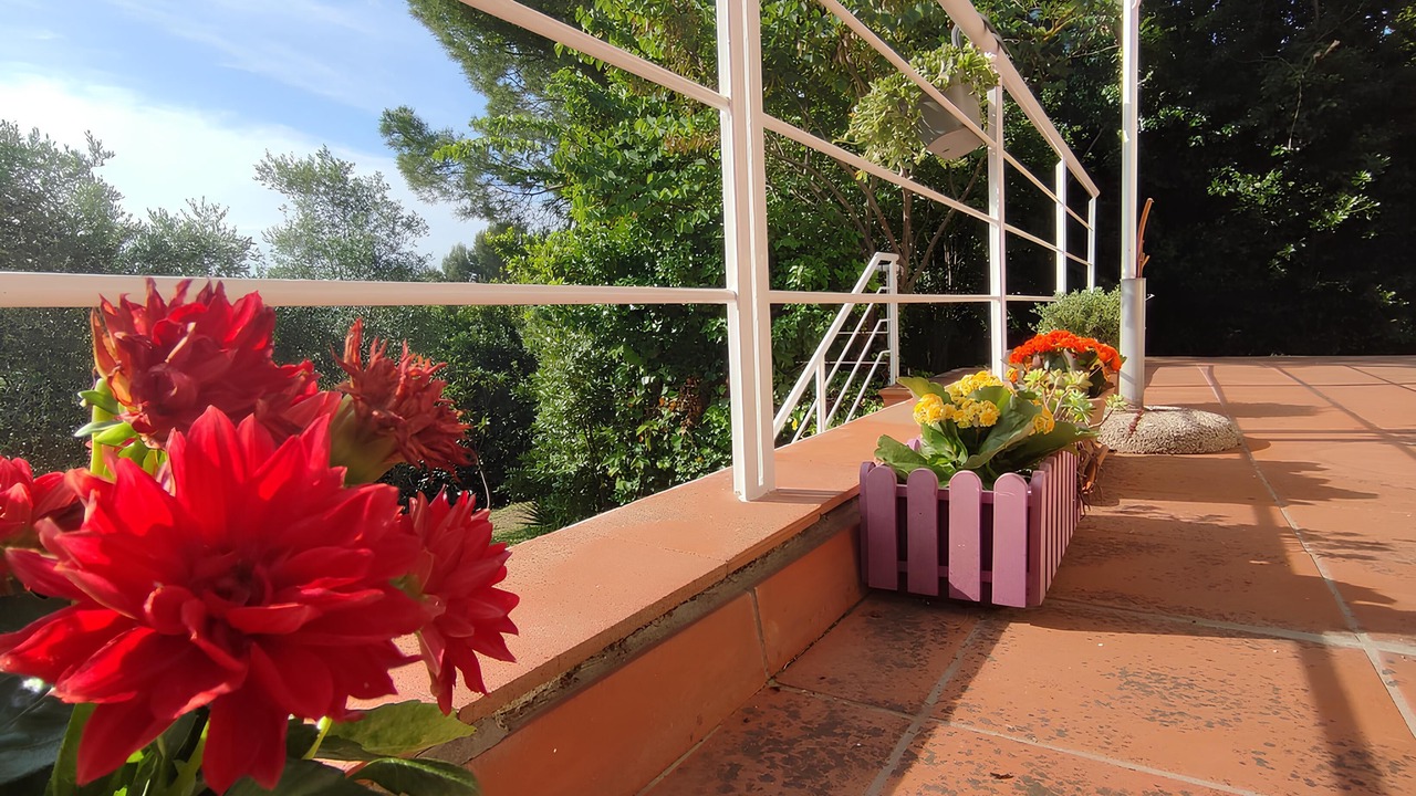 Photo of Outdoor in Palombina Nuova