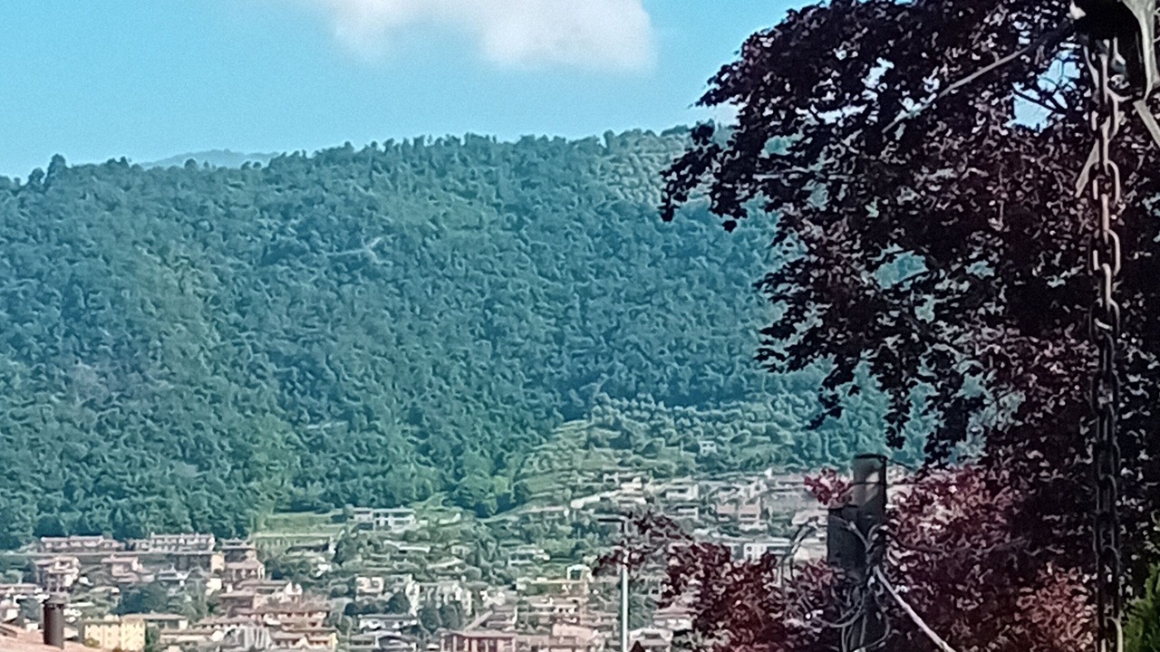 Photo of Others in Paratico