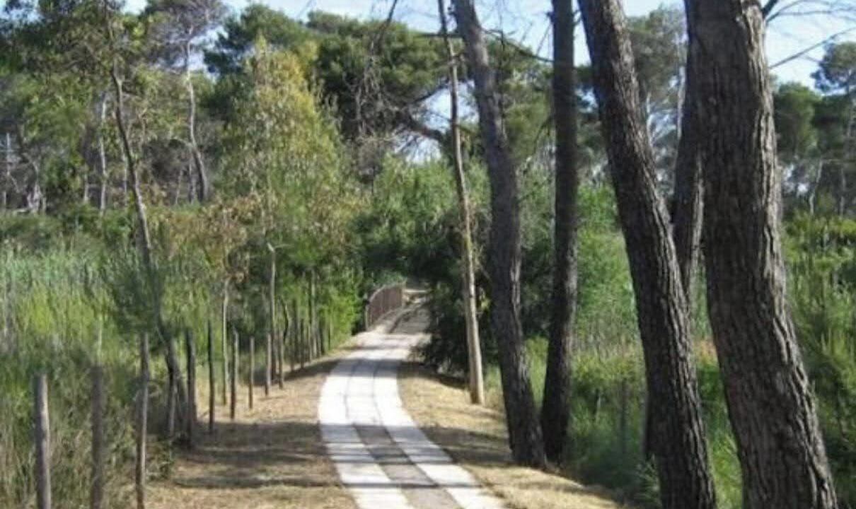 Photo of Outdoor in Foce Varano