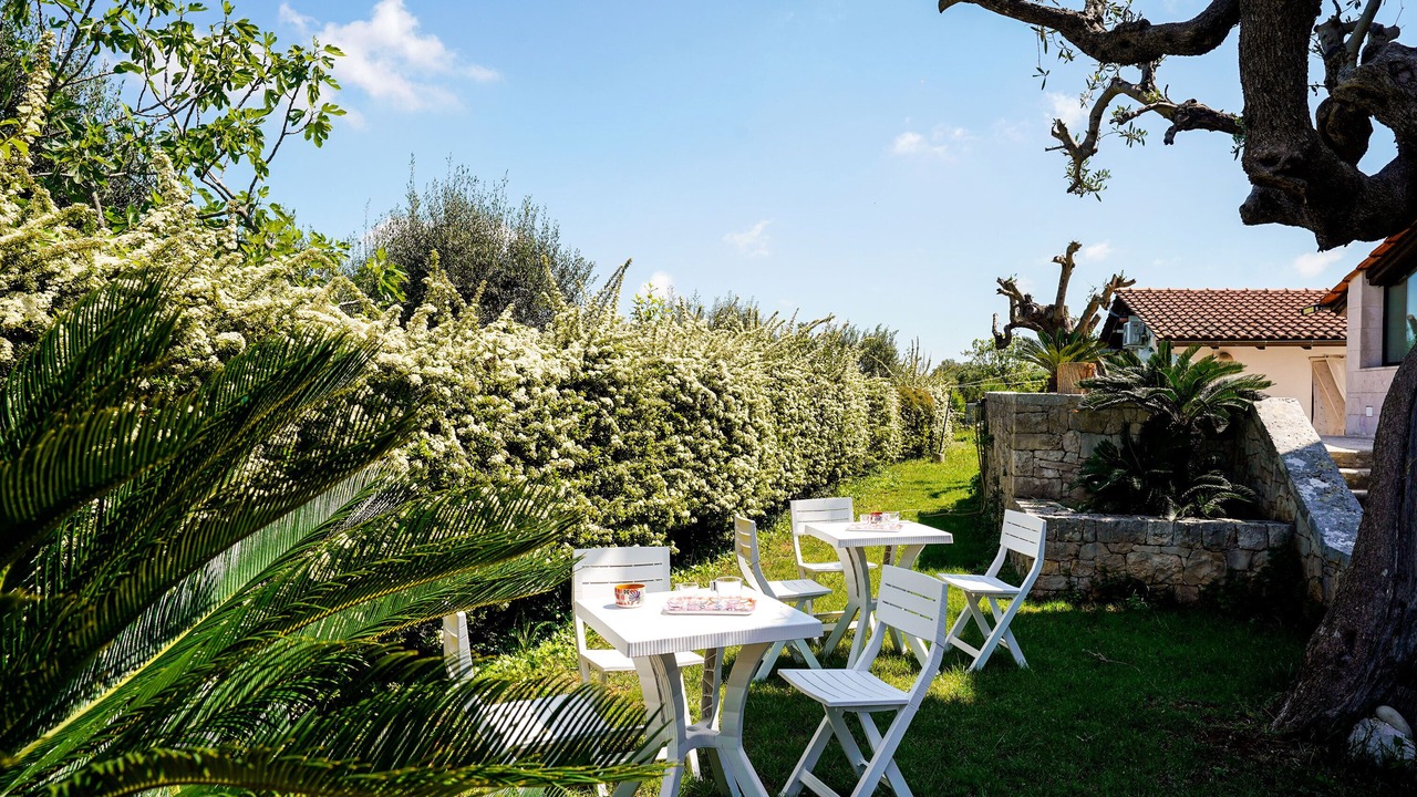 Photo of Outdoor in Alcanterini