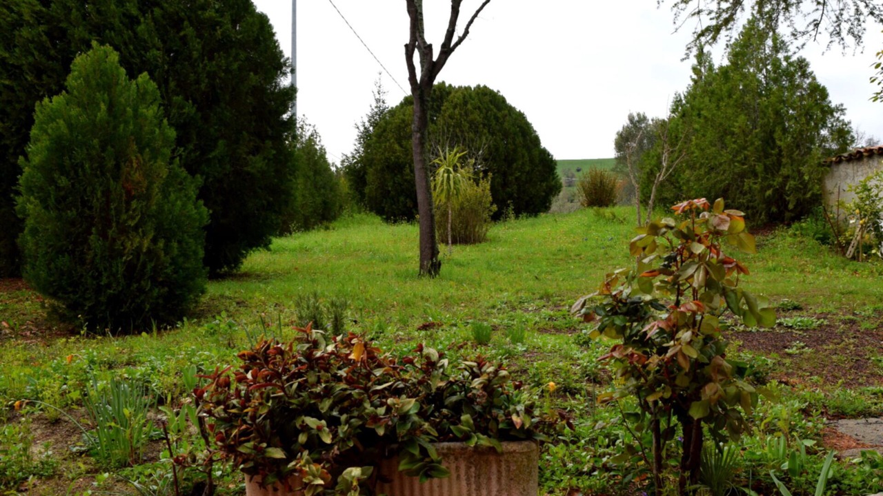 Photo of Outdoor in Bellante