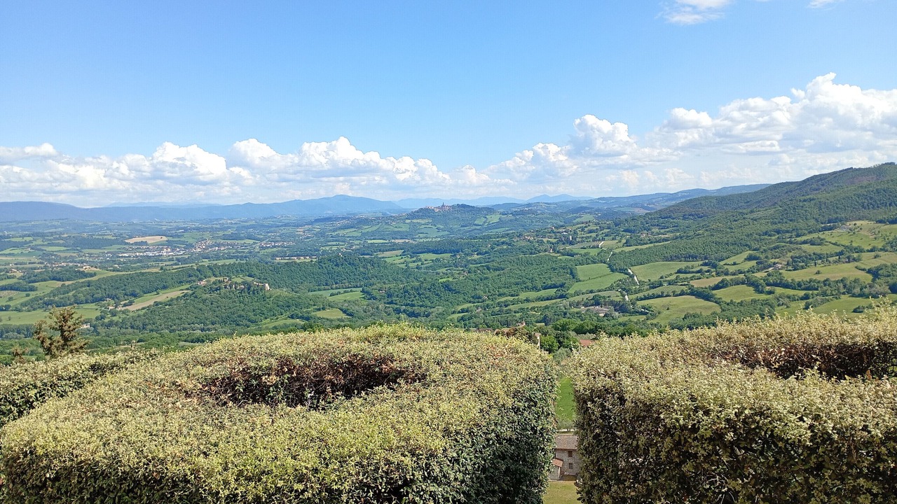 Photo of Others in Monte Castello di Vibio