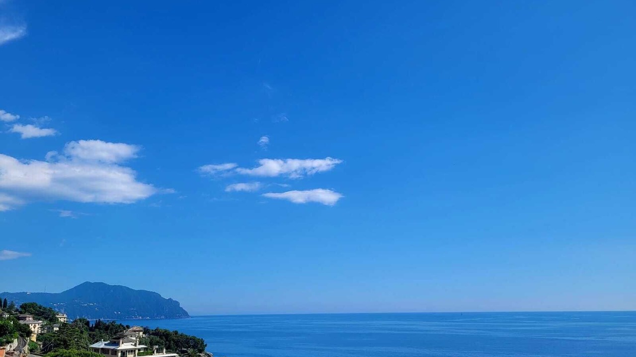 Photo of Others in Pieve Ligure