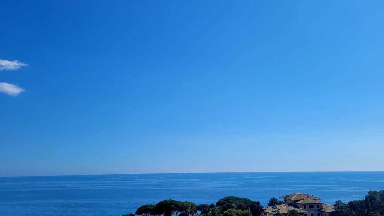 Photo of Others in Pieve Ligure