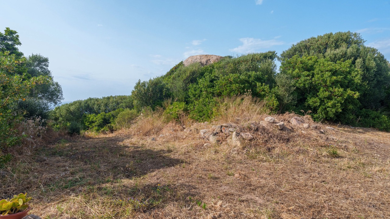 Photo of Others in Aglientu