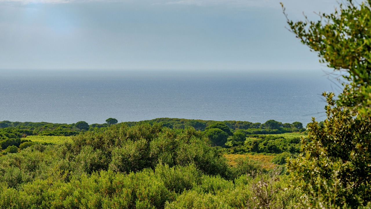 Photo of Others in Aglientu