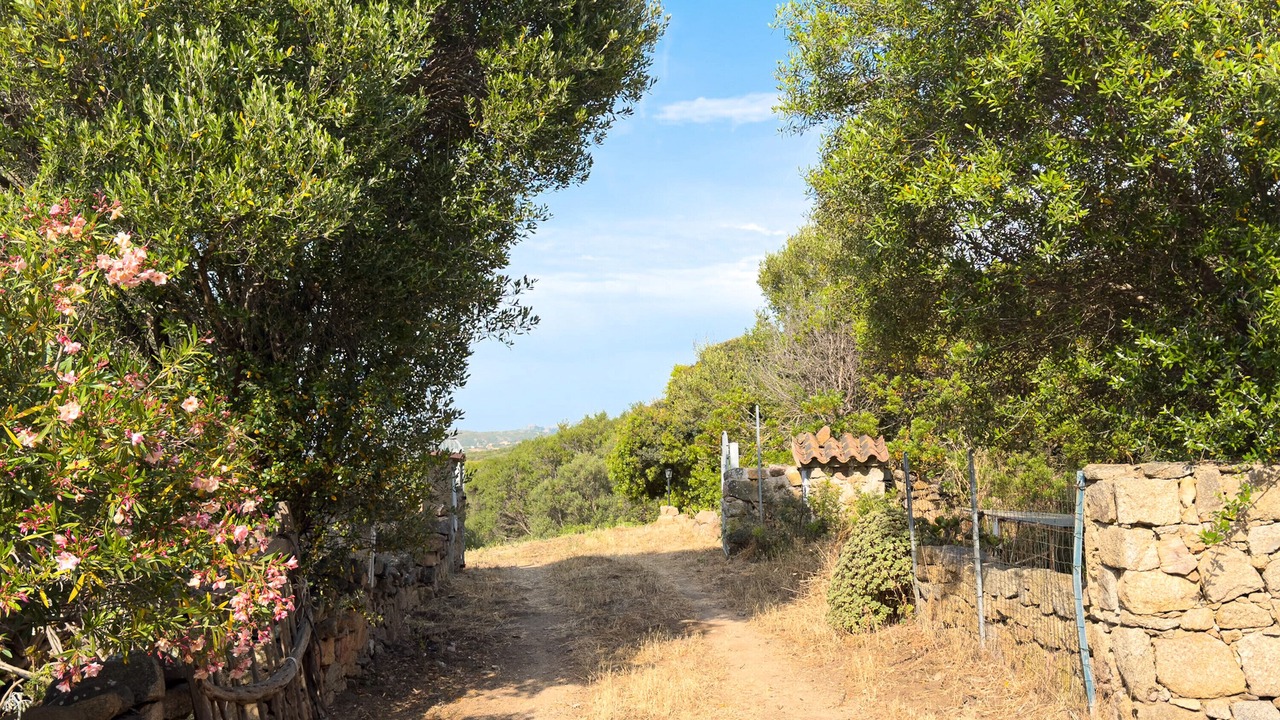 Photo of Outdoor in Aglientu