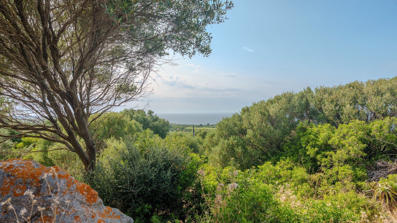 Photo of Others in Aglientu
