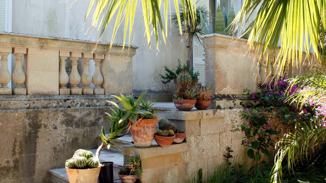Photo of Outdoor in Cutrofiano