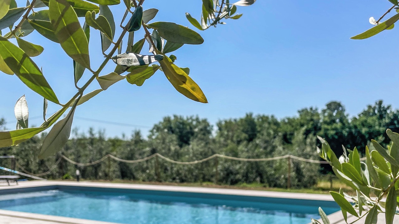 Photo of Outdoor in Amelia