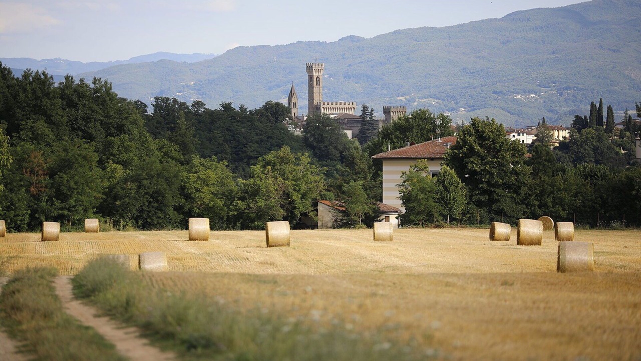 Photo of Outdoor in Scarperia e San Piero