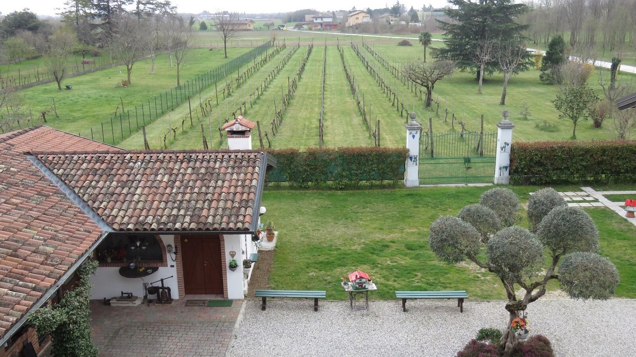 Photo of Outdoor in Udine