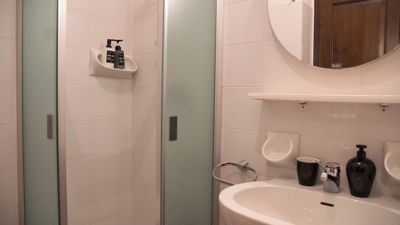 Photo of Bathroom in Introbio