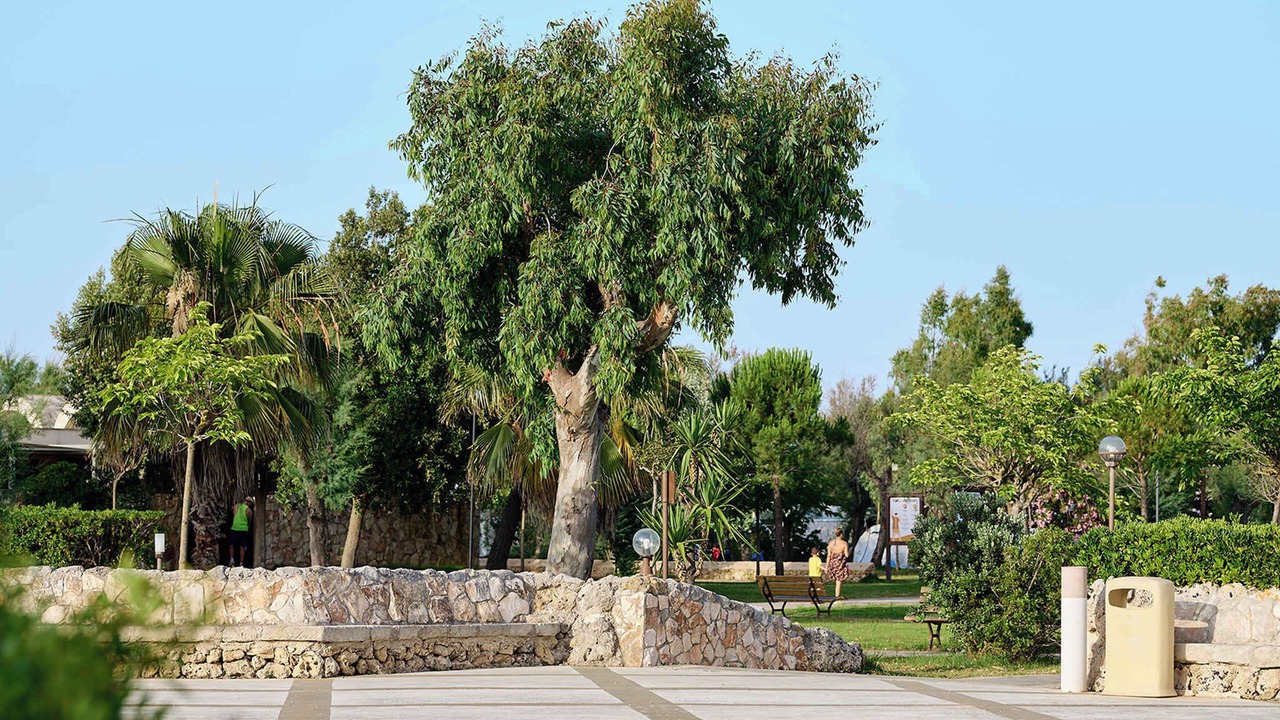 Photo of Outdoor in Torre Rinalda