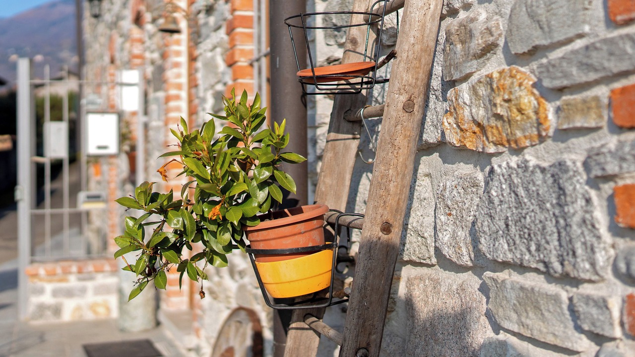 Photo of Outdoor in Comero