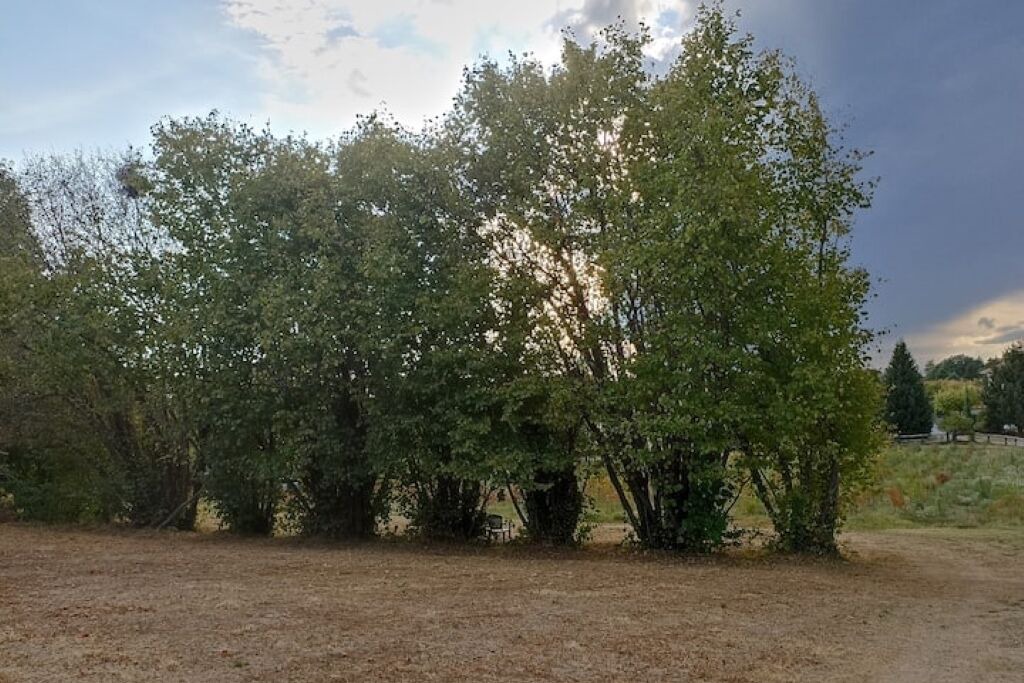 Photo of Others in Cascinetta