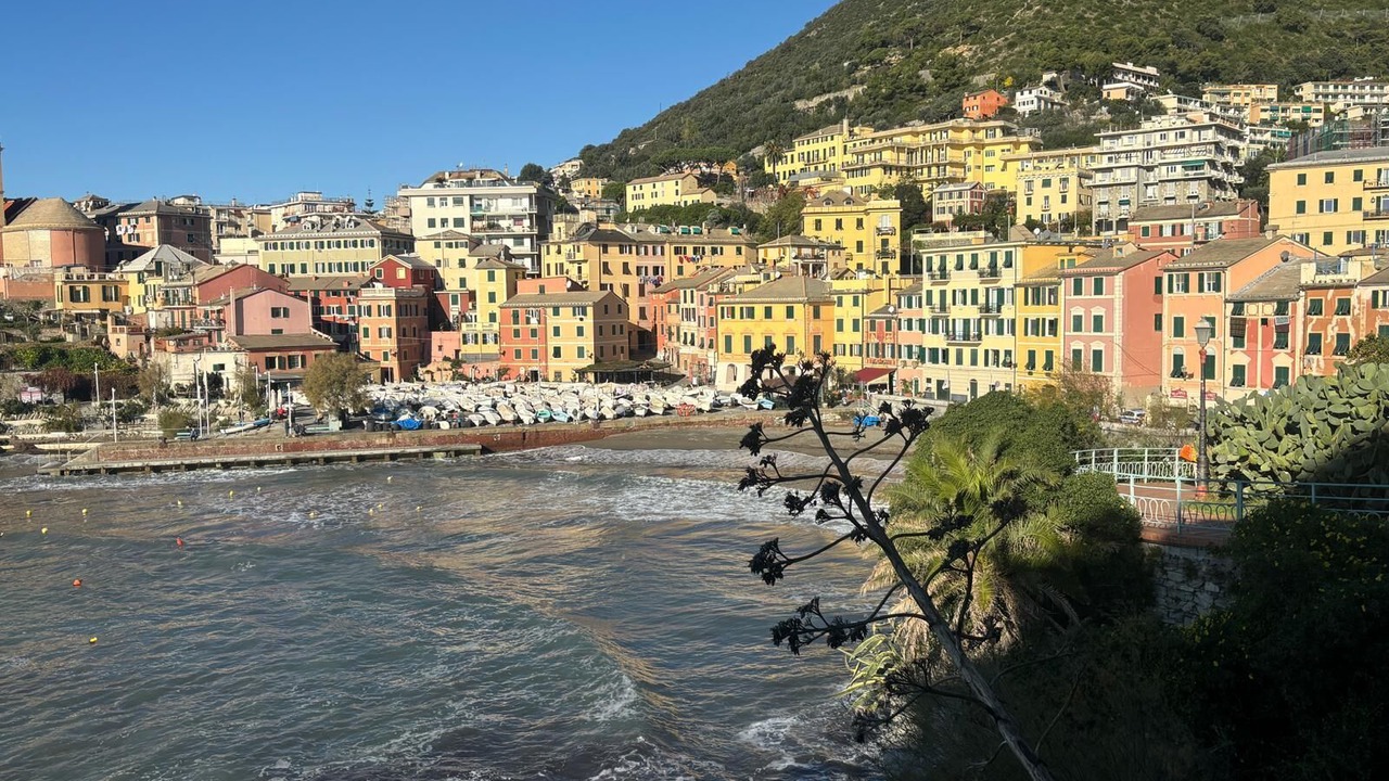 Photo of Others in Nervi