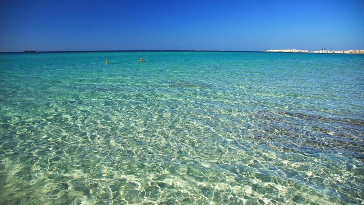 Photo of Others in Province of Lecce