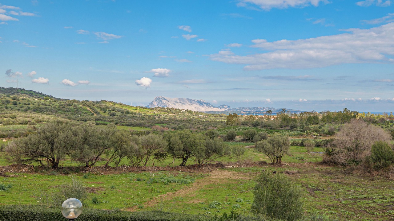 Photo of Others in Schifoni