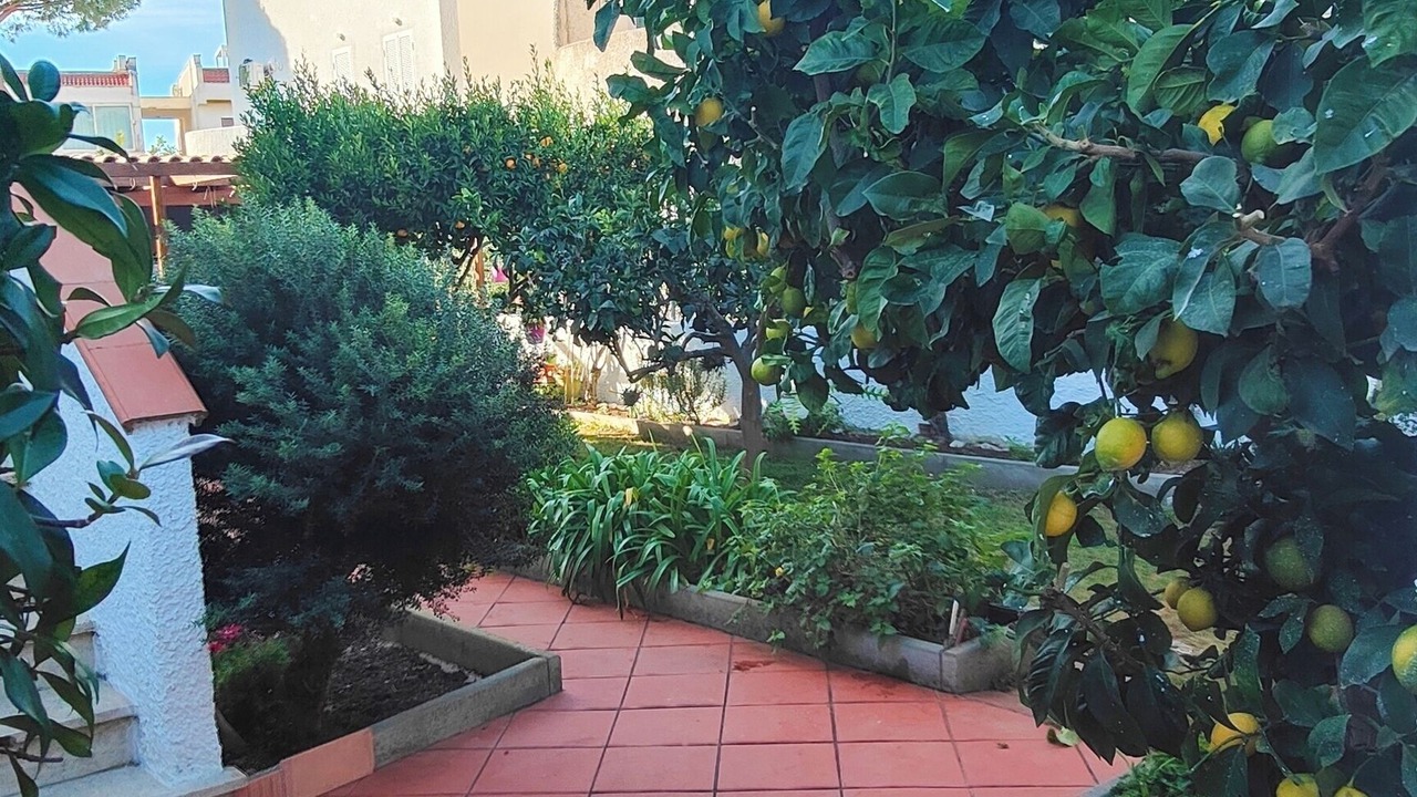 Photo of Outdoor in Santa Marinella