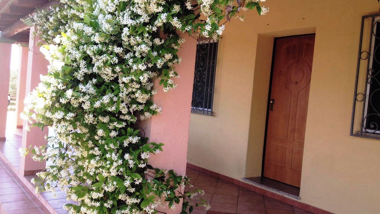 Photo of Outdoor in Orosei