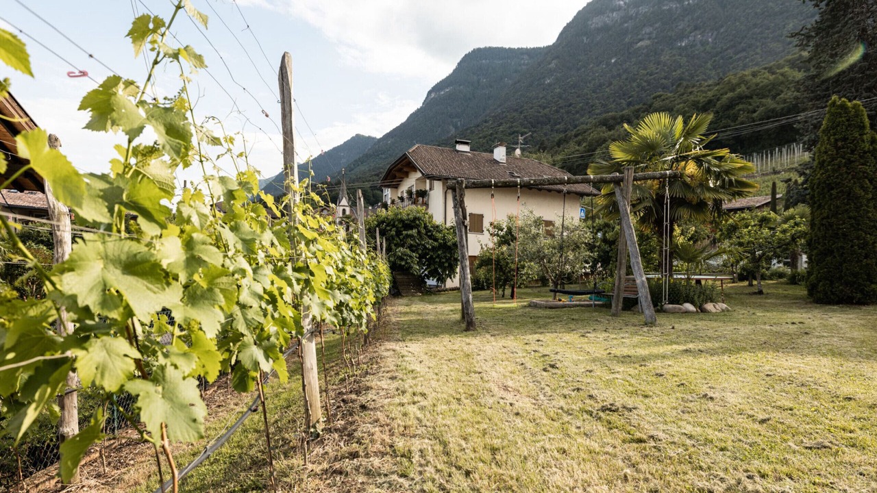 Photo of Outdoor in Caldaro Sulla Strada del Vino