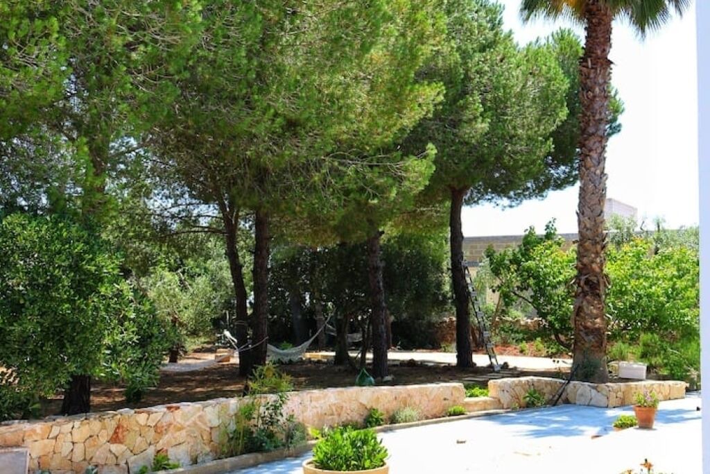 Photo of Outdoor in Racale