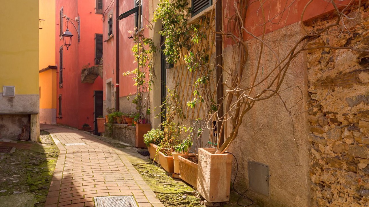 Photo of Outdoor in Montemarcello