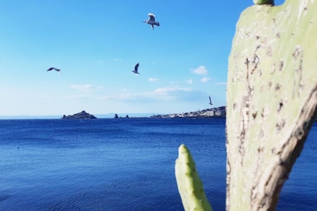 Photo of Others in Capo Mulini