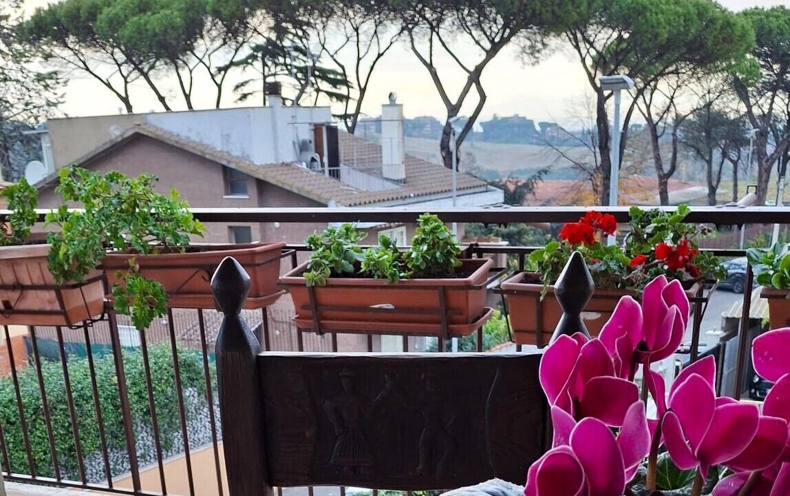 Photo of Outdoor in Cassia
