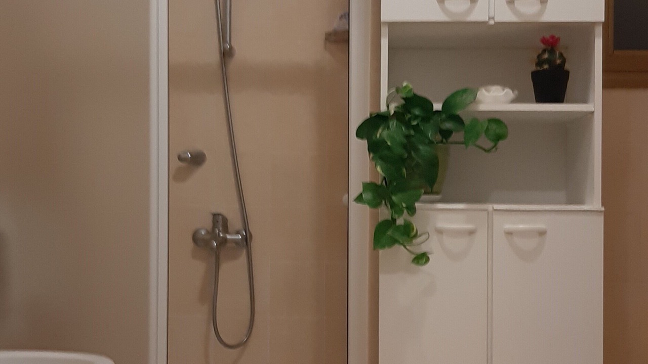 Photo of Bathroom in Nave