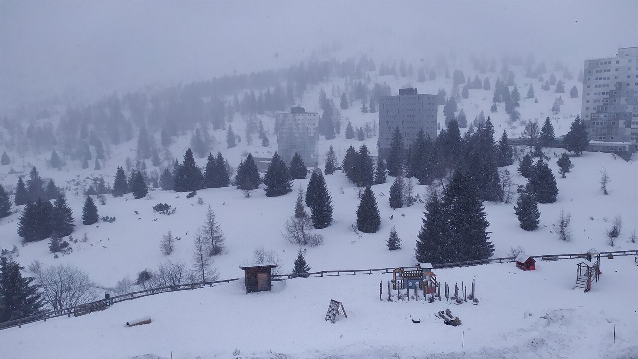 Photo of Others in Passo del Tonale