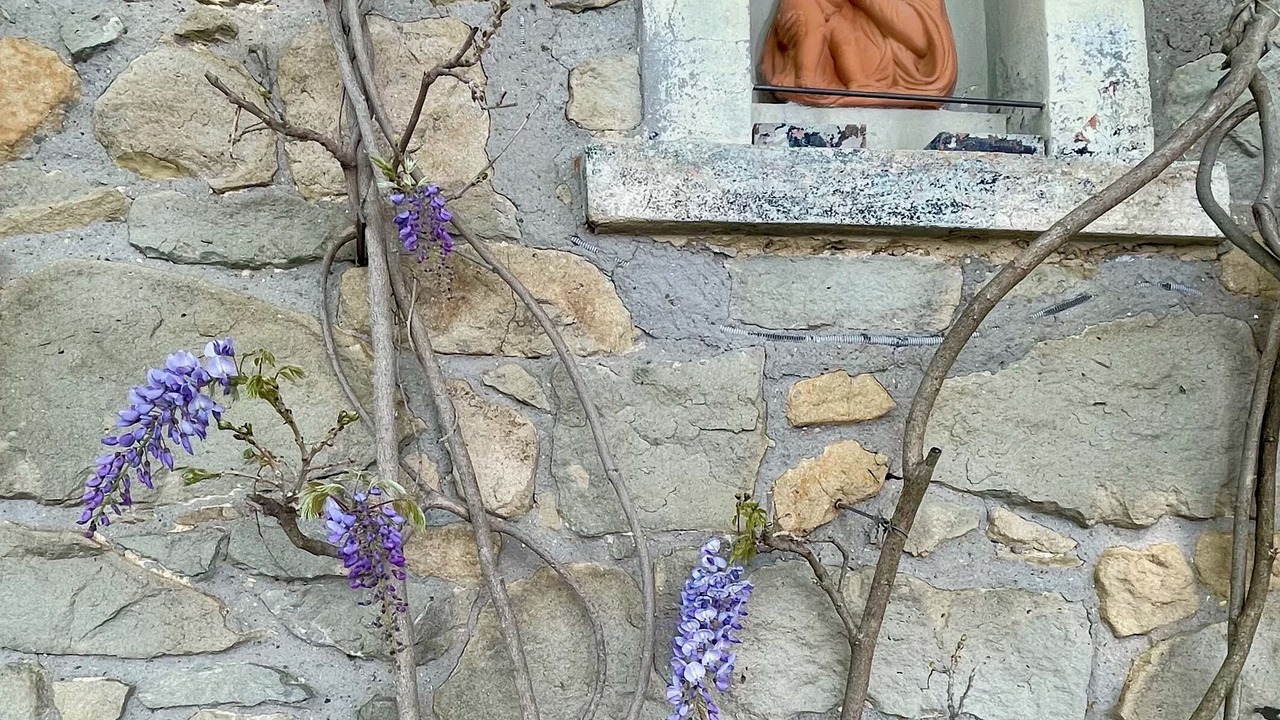 Photo of Outdoor in Marliana