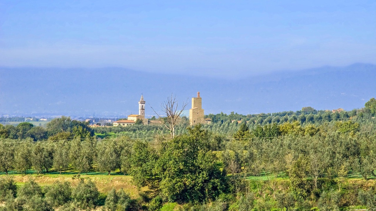 Photo of Others in Lamporecchio