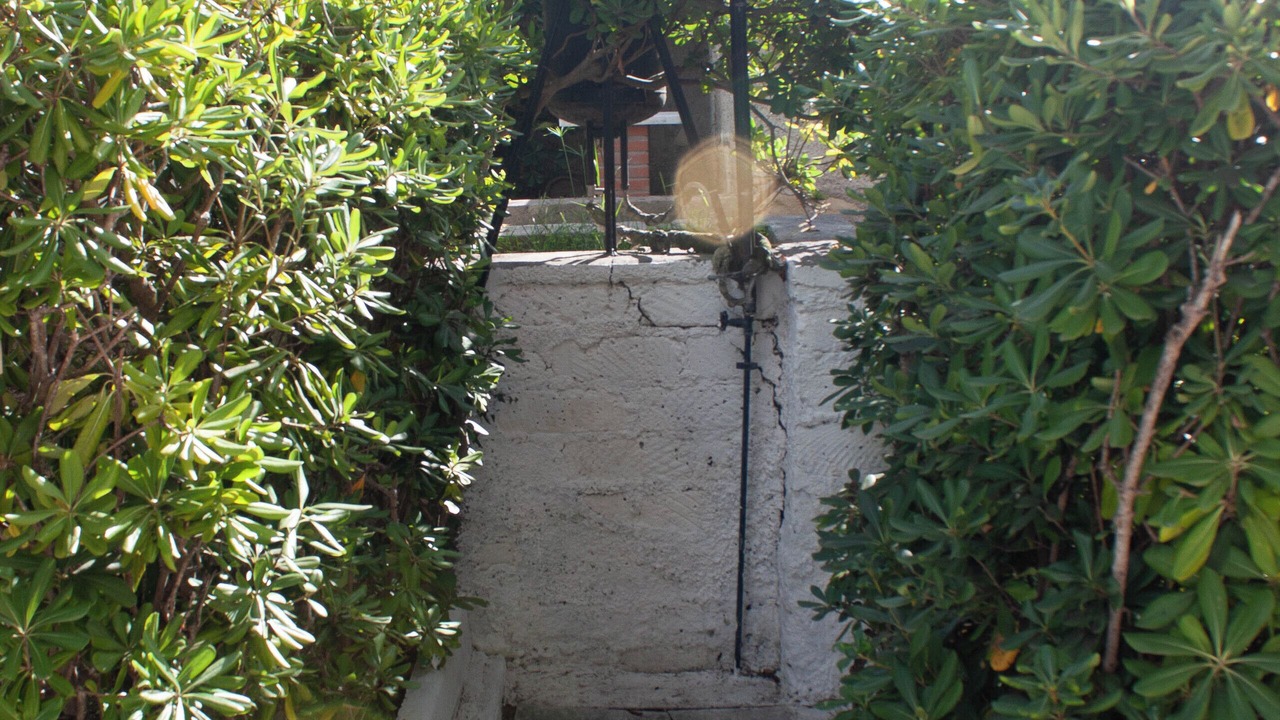 Photo of Outdoor in Latina Lido
