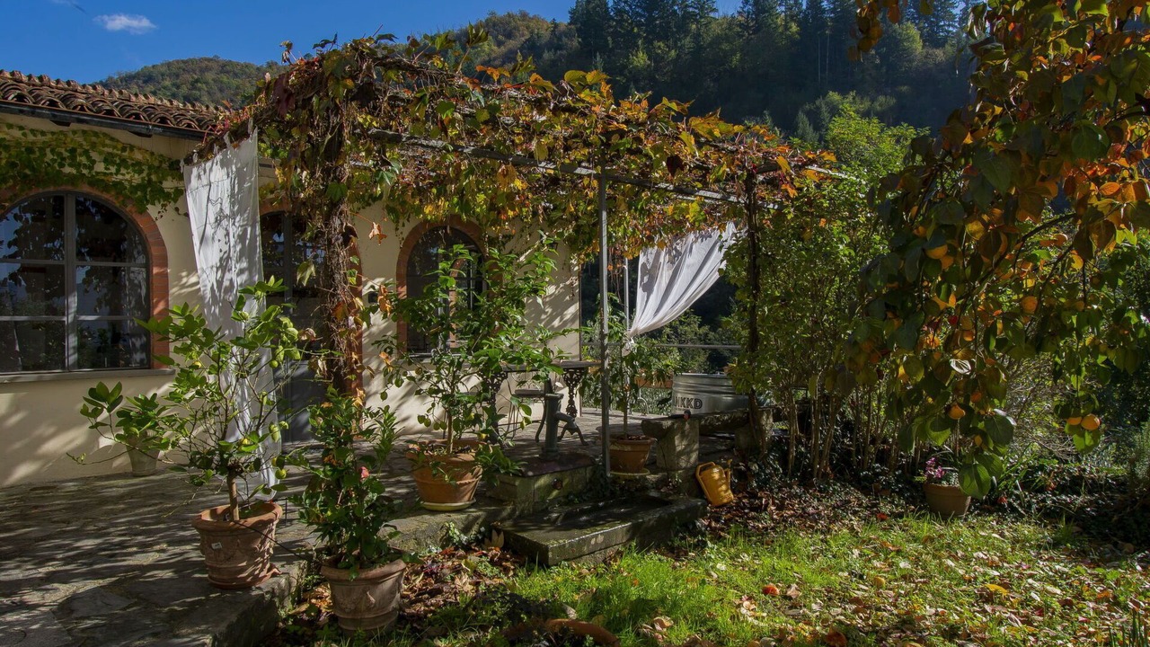 Photo of Others in Barga