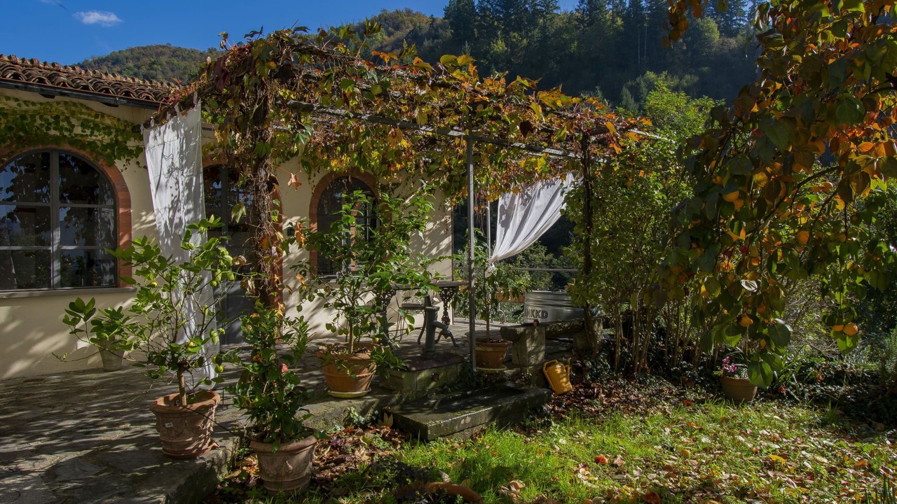 Photo of Others in Barga
