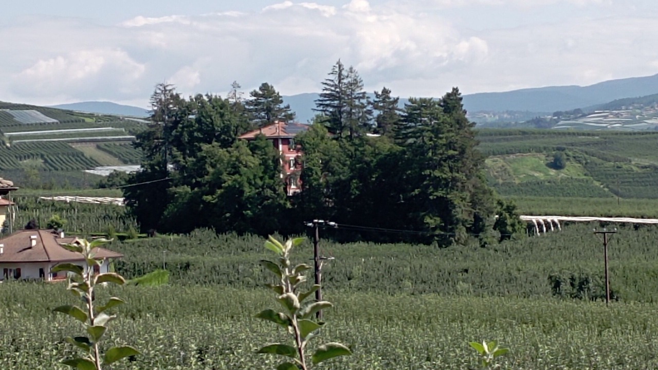 Photo of Others in Terres