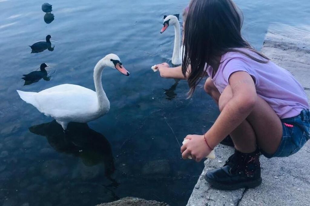 Photo of Others in Viverone