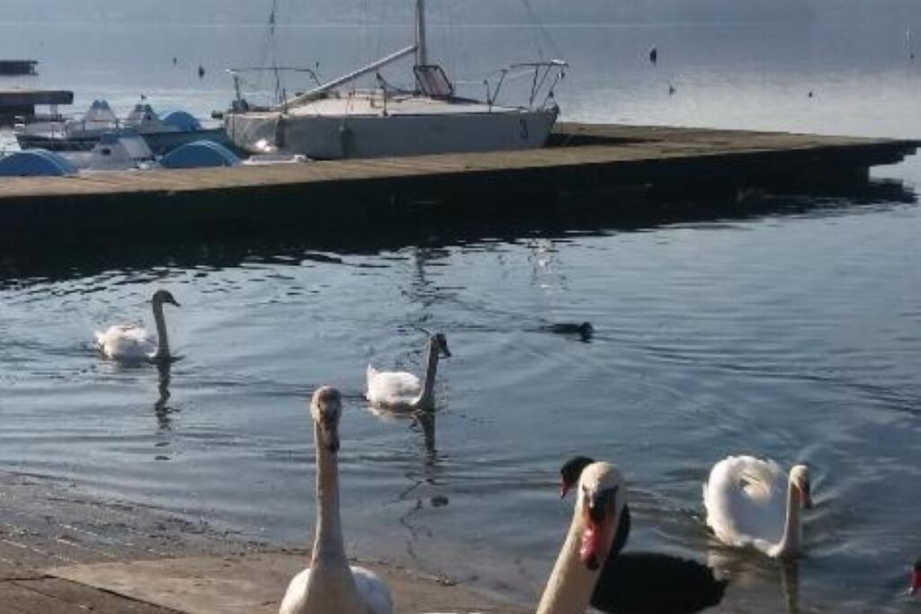Photo of Others in Viverone